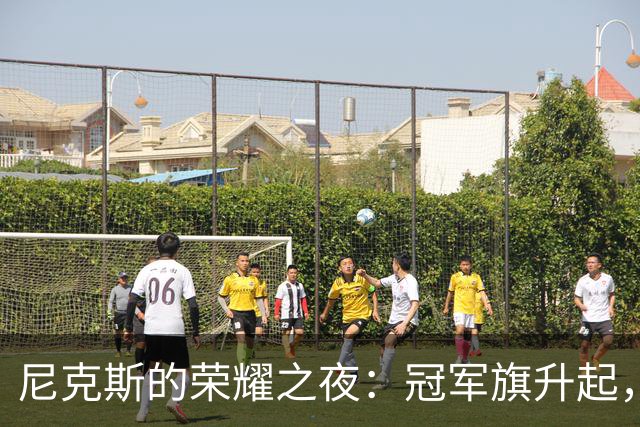 尼克斯的荣耀之夜：冠军旗升起，戒指闪耀！